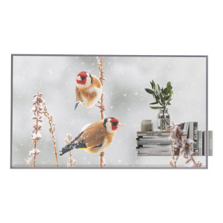 LG ELECTRONICS 55 OLED, 1920X1080, 16:9