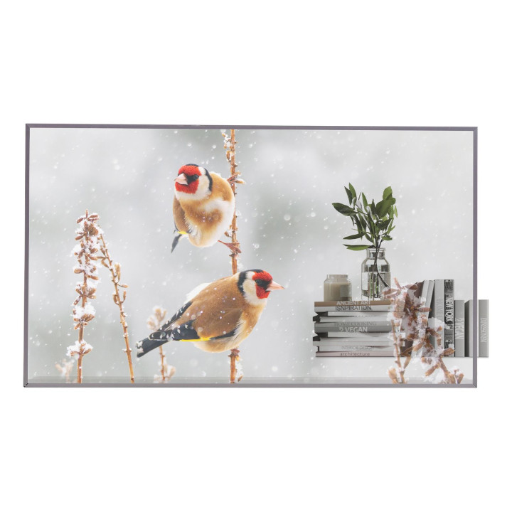 LG ELECTRONICS 55 OLED, 1920X1080, 16:9