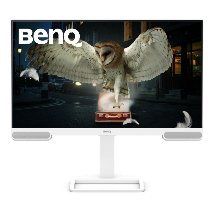 BENQ 31.5 4K 95 P3 USB-C (65W) USB-HUB
