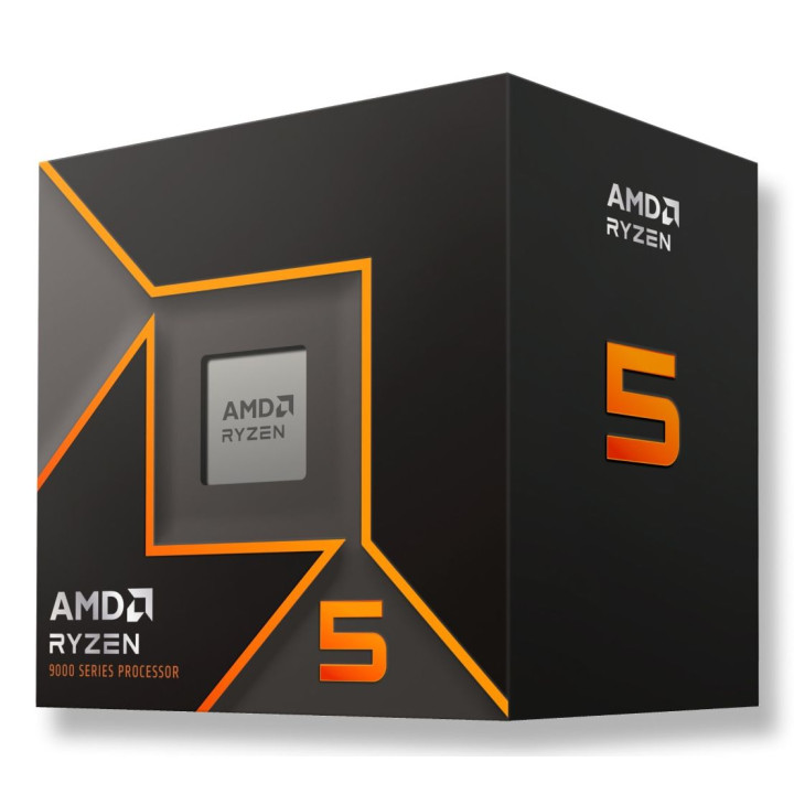 AMD RYZEN 5 9600
