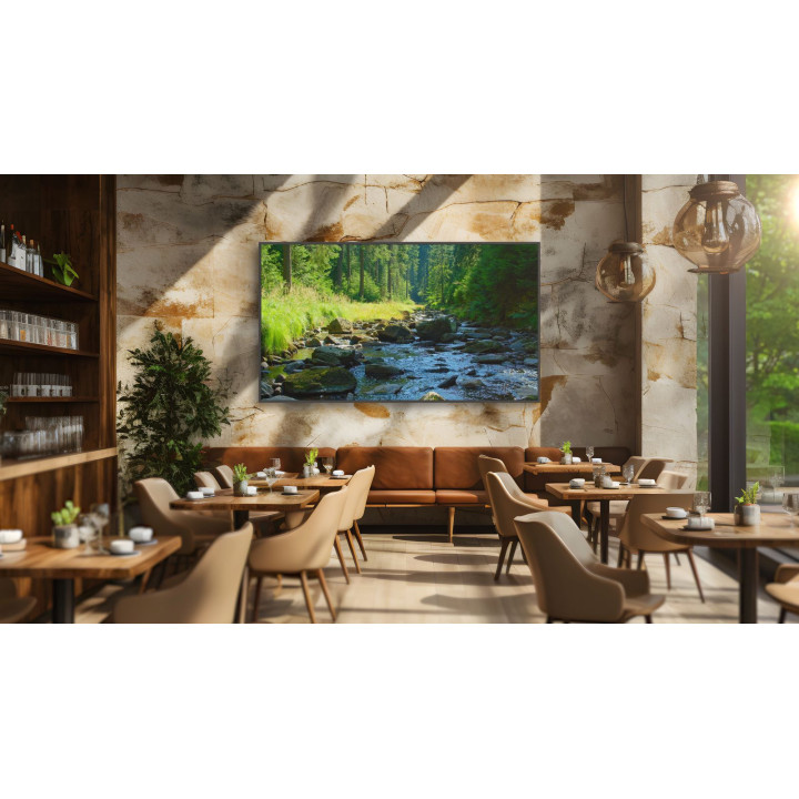 SONY 98  Pro BRAVIA LCD 780nit Haze w5yr PS