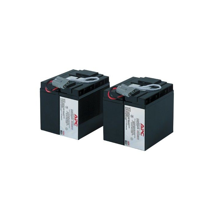 APC BATTERIE SOSTITUTIVE SU2200 3000INET E RACK