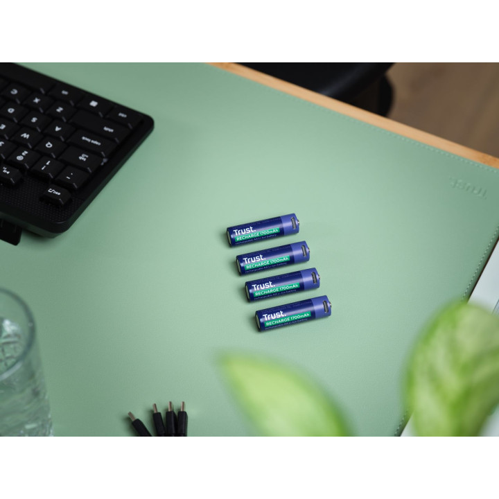 TRUST USB-C RECHARGEABLE BATTERIES 4P - AA