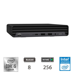 REGLOO HP 600 G6 DM I5-10500T8NVME256W11P2Y